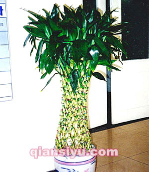 ʻʻ