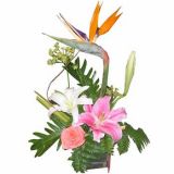 ʻʻٵ