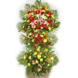 ʻҵ