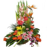 ʻʻٵ