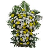 ʻҵ
