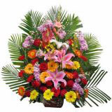 ʻʻٵ
