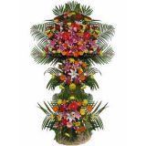 ʻʻٵ