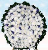 ʻҵ