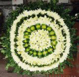 ʻҵ
